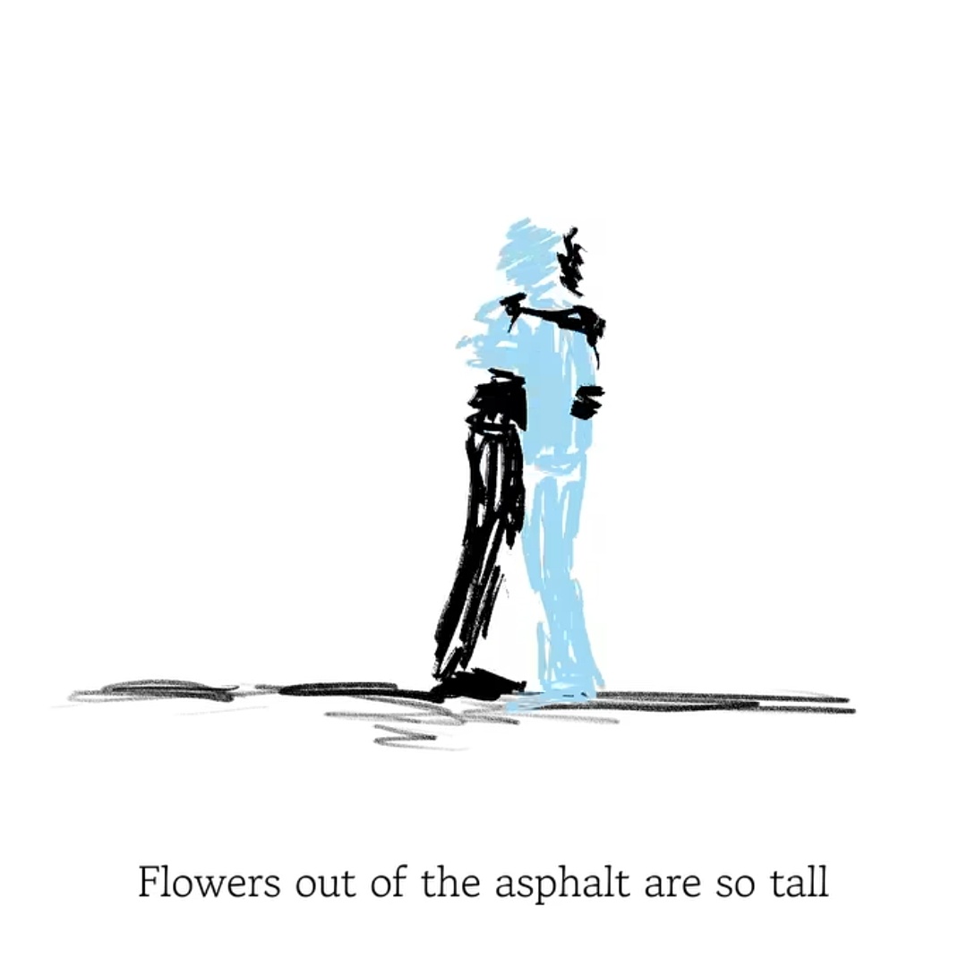 This song uses a very powerful metaphor for resilience. 
The line :
''Flowers out of the asphalt are so tall''
symbolizes the strength of someone who continues to grow and thrive, even when faced with harsh and difficult circumstances."
💙💙💙
“Flowers growing through asphalt?