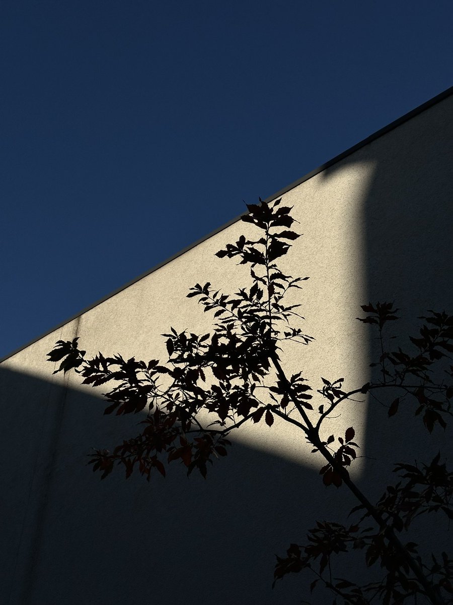 Meilleurs vœux à tous !

Merci pour tout le soutien, l’amitié et la force donnée pour traverser 2025. Que 2026 soit plus grande et plus restauratrice encore !