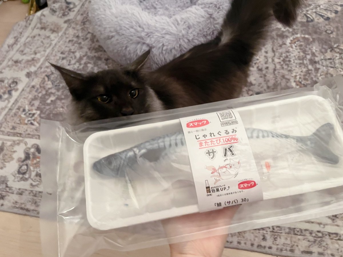 heroo0823's tweet image. お年玉のサバだよ