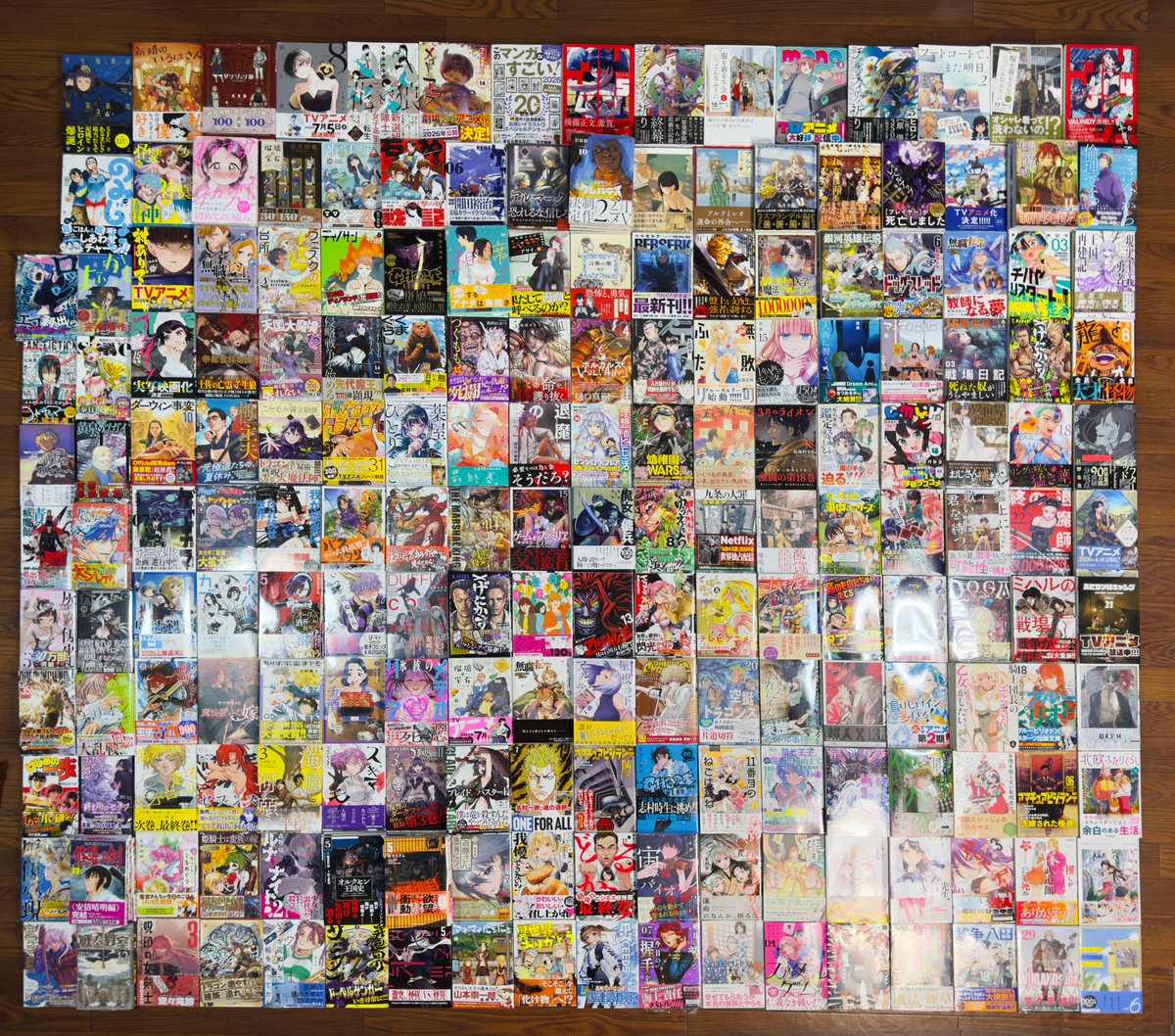 2025年6～12月に購入した新刊漫画詰め合わせ 整理がてら並べながら購入