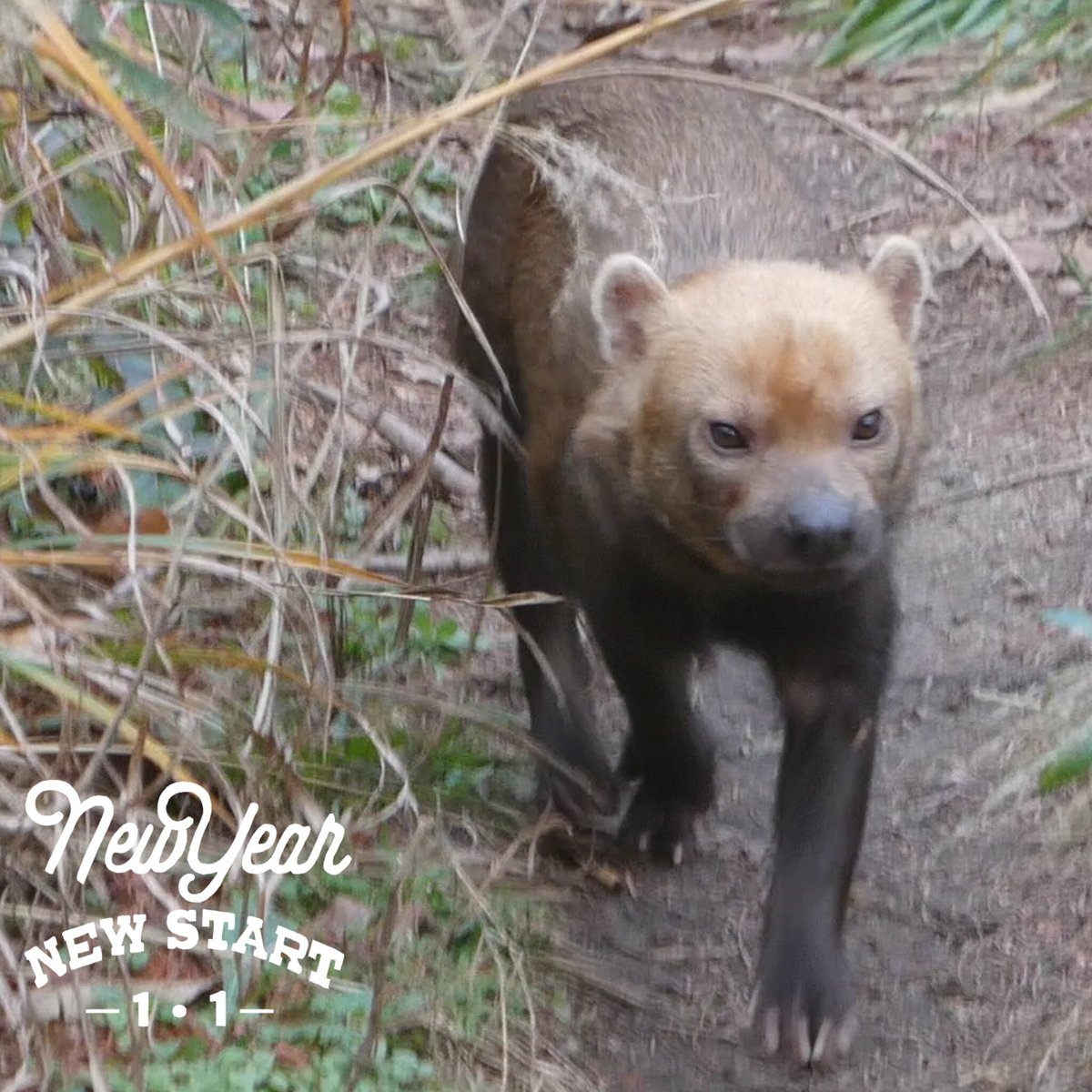 maruページ タンデムスタイル』 カブ特集 で掲載していただきます🪄︎︎◝✩ 愛車