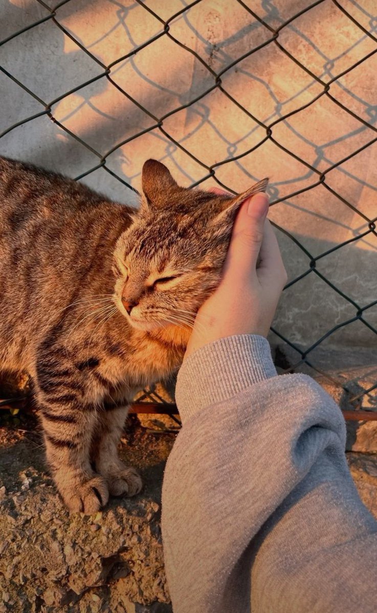Yazılanı yaşamaya devam...
