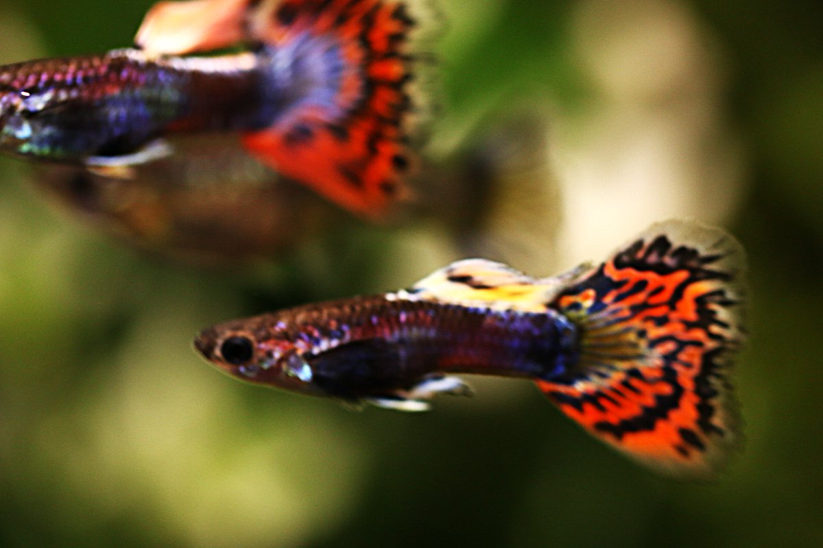 まっちゃん (@hirofish621) / Posts / X