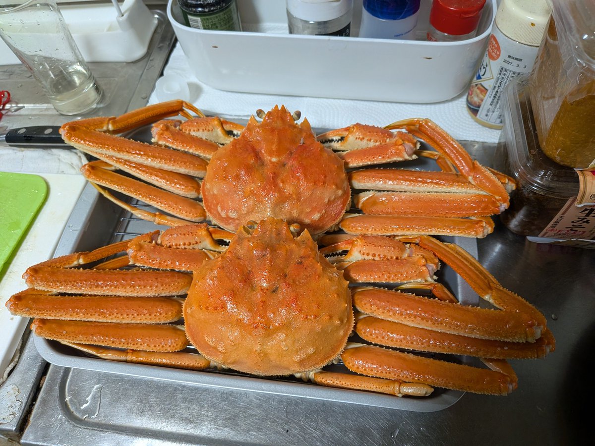 ズワイ食うぞ〜₍₍(ง˘ω˘)ว⁾⁾