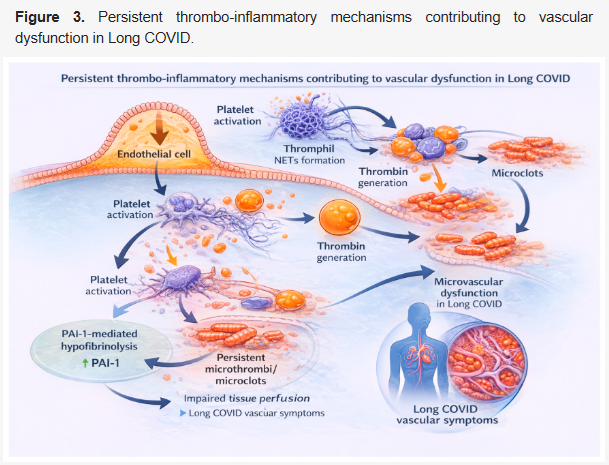 Harry Spoelstra tweet media