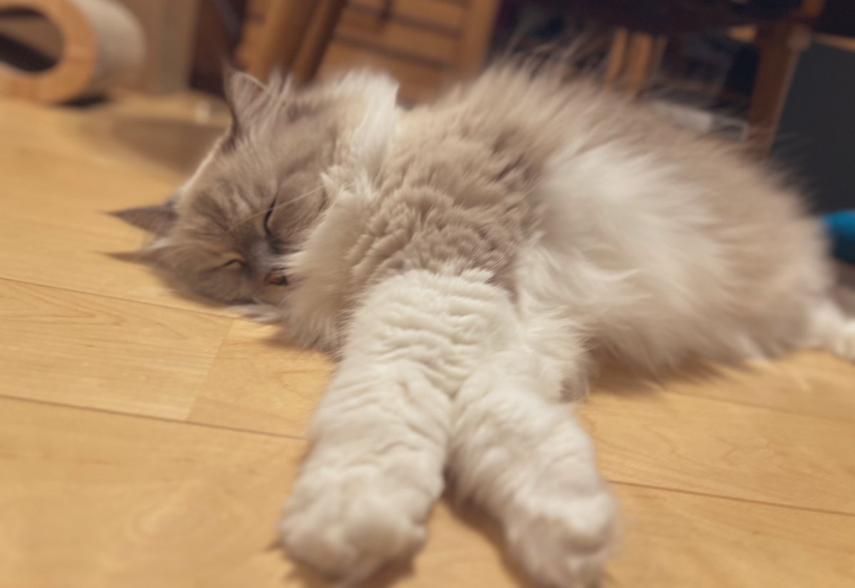 めありー🐰 (@memememememe28) / Posts / X