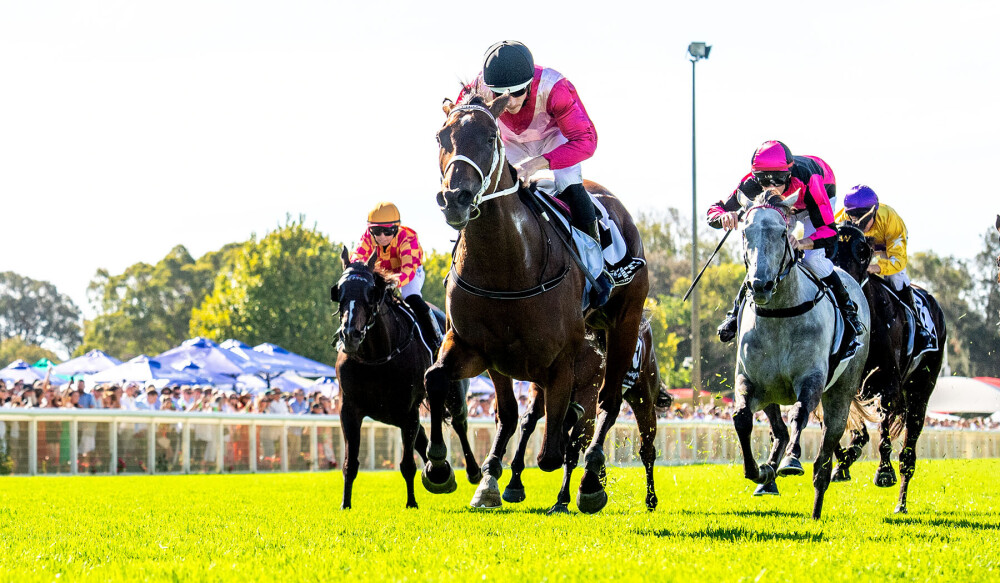 Perth Racing tweet media