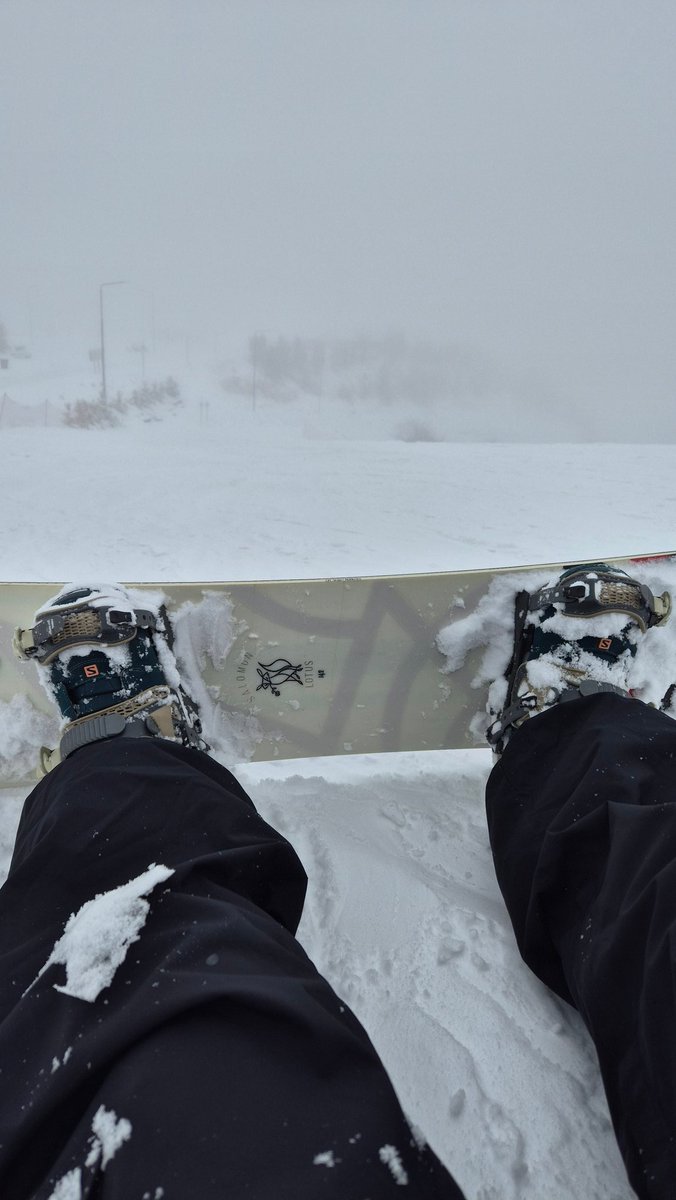 nan 🕊 tweet media