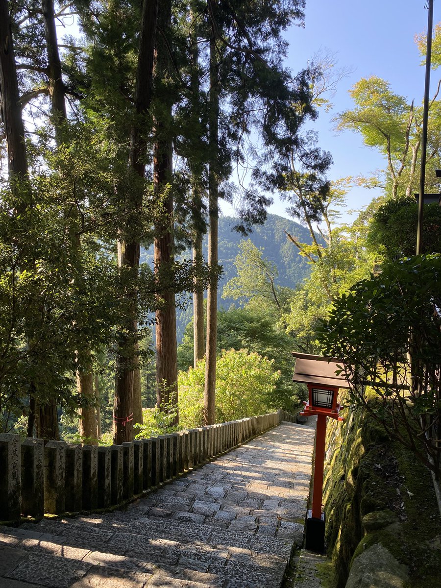 FREE COOL tweet media