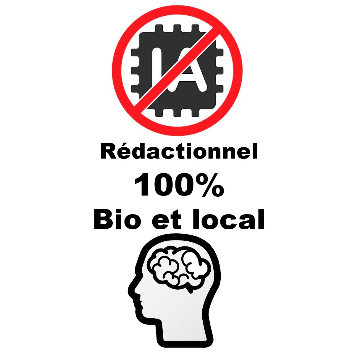 Bonne année à tous. Comme tous les ans à la même date, c’est le moment des bonnes résolutions. Je vous partage la mienne pour 2026. 
#ia #ai 
erwanlevexier.net/post/2026/01/0…