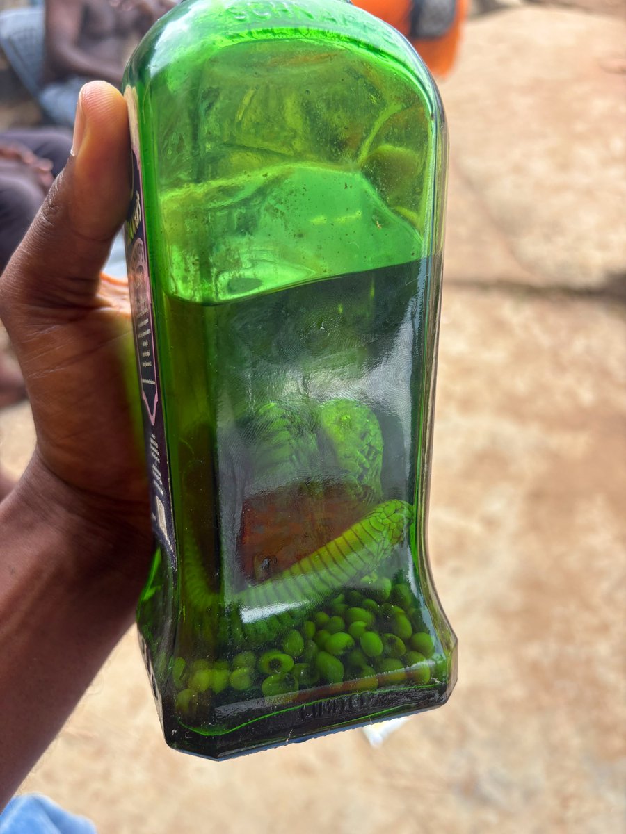 StyledByOtis 💯 tweet media