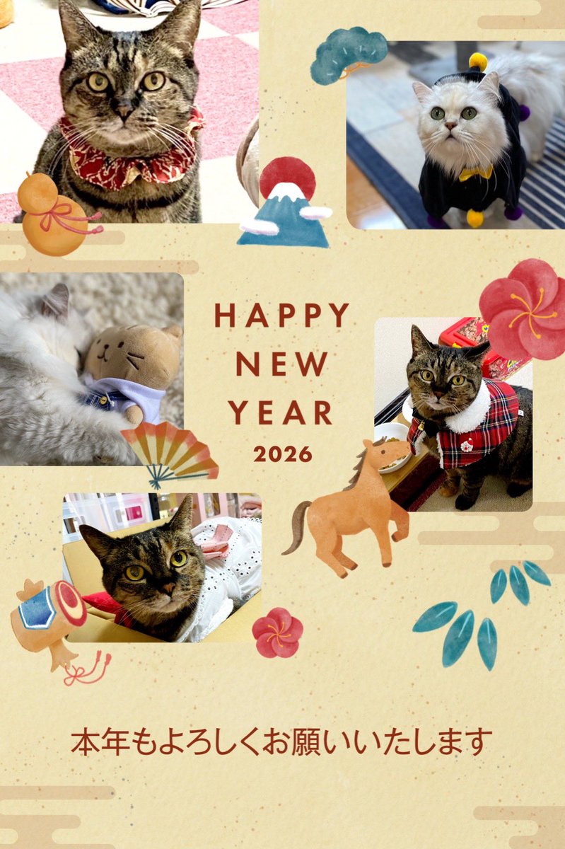 melon20130401's tweet photo. あけましておめでとうございます🐴
人間の皆様、そしてお猫様にとって幸多き1年になりますように☆。.:＊・゜
 #推しキャットもどき  #ラガマフィン https://t.co/2r9ZqpIKqf
