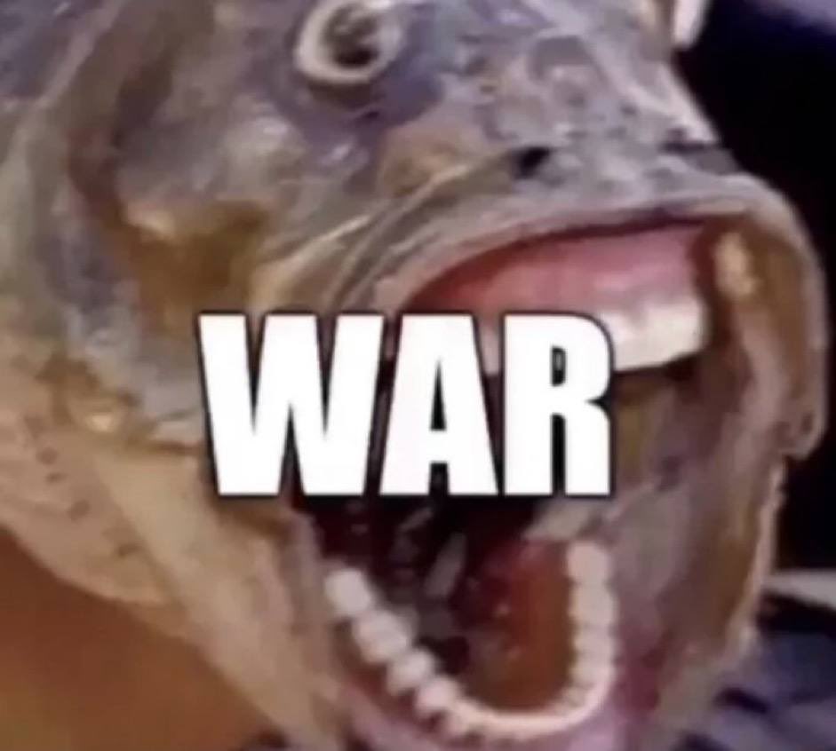 silly_bamboni's tweet image. ❌ biologists filming a unique footage about animal routine 

✅ WAR