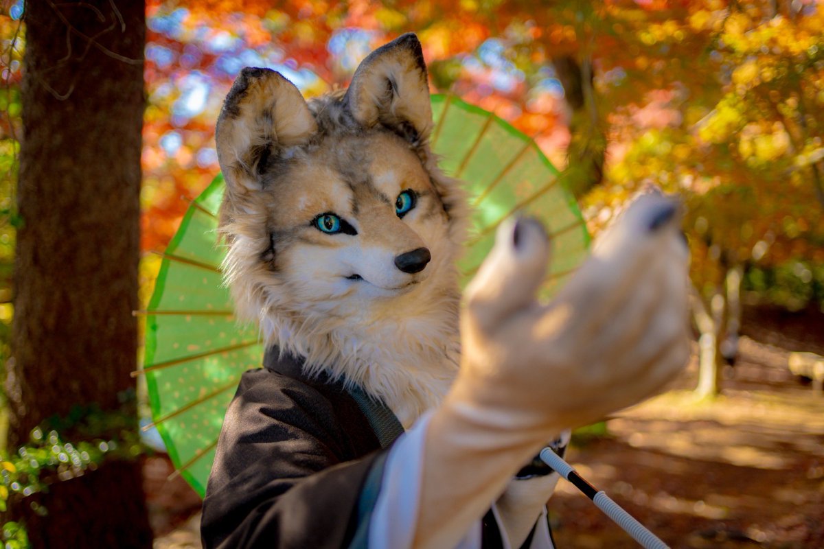 あけましておめでとうございます‼️🍶🎍⛩🌅
今年はまったり活動しながら変わらずイベント参加できたらな〜と思ってます。よろしくね🦊✨