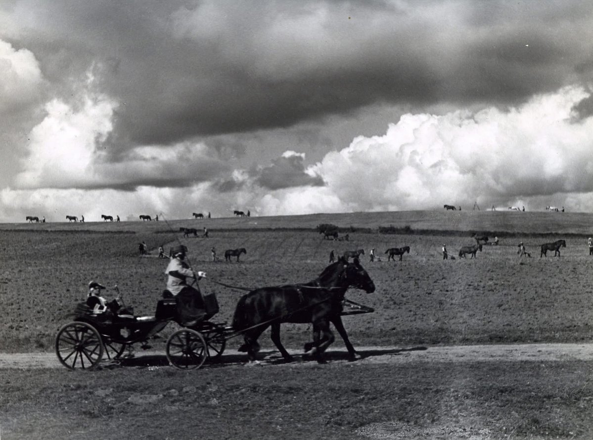 Labām filmām, kino zināšanām un notikumiem bagātu 2026. gadu!🎉
 📷Skats no filmas "Kaugurieši" 
(1941, režisors Voldemārs Pūce, 
operators Valdemārs Upītis)