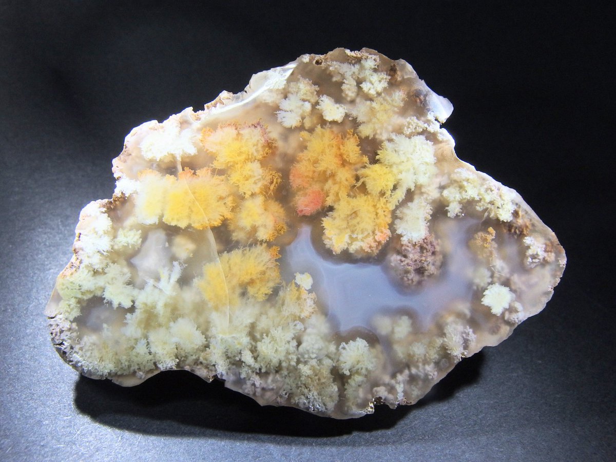 BlueColundum's tweet image. 昨年一お気に入りのメキシコ産アゲート
プルームアゲートって良いな