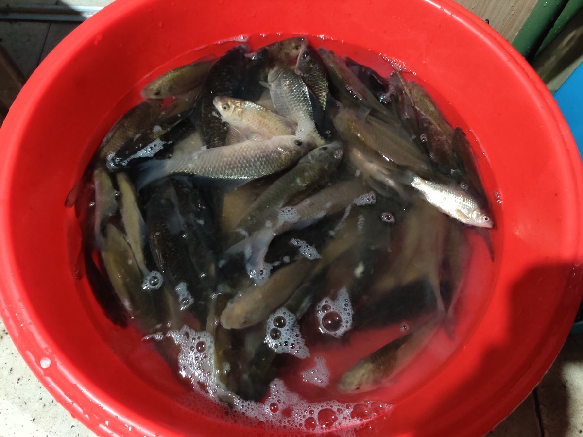 RelMonad (@relmonad) on Twitter photo 