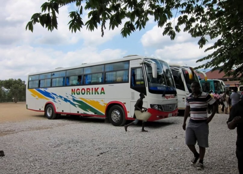 Nsajigwa kapange tweet media