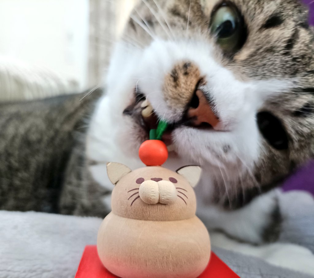 まめたろ (@kuromametaro620) / Posts / X