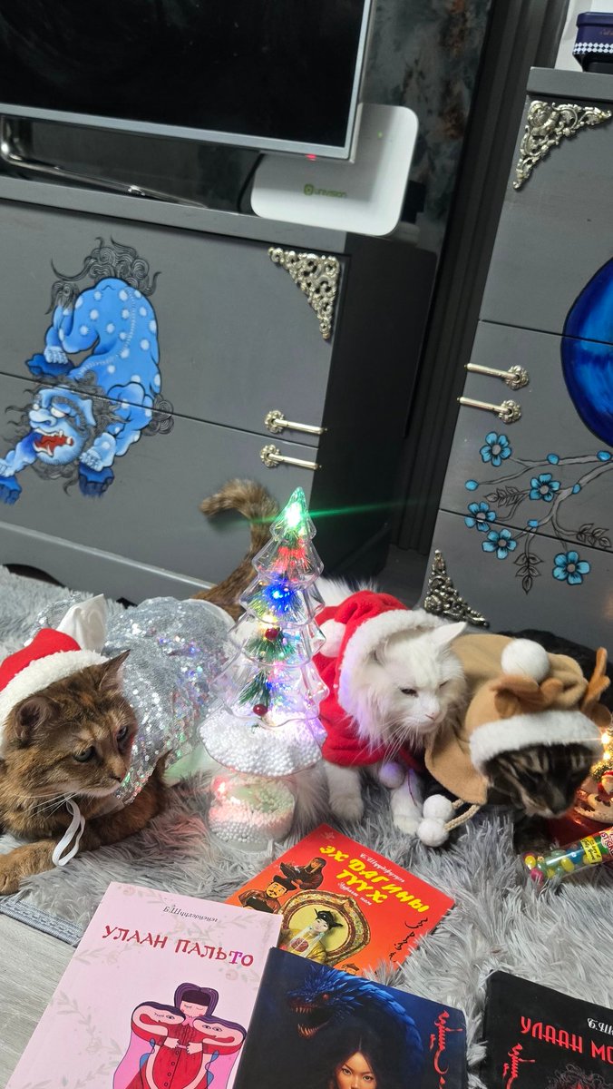 Манай 3Оны шилдэг шалгаруулах ёслол хийх гэж алаан боллоо 😹😹😹
Зүүн захын шар нь Мрси гүн ахайтан, голын цагаан хурц бэйс  Жижи, хар эрээн нь Жонон гүн Барс гдг 3 ёслолоос тарж зугтаах, гүн ахайтан дүүтэйгээ зодолдоод ёслол хаяж явах гм юм болж байж 1 рийлс хийгээд тарлаа даа😛