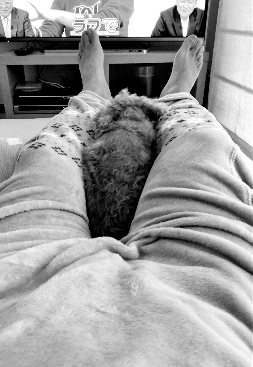 ワンコを股に挟みながら
年越しました

今年も宜しくです