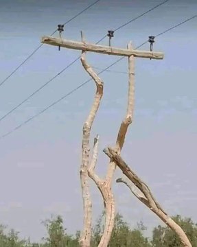 Pius Jemba tweet media