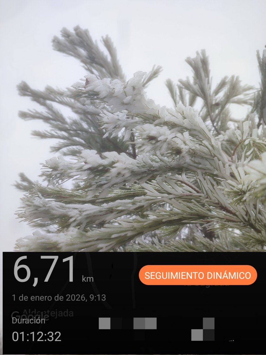jmmcotobal's tweet photo. @gilicombo  2/3 completado.
Este es el camino. Podemos decir que ha ido bien, mucho frío pero bien. Dono a quien necesite los 1,71 km que  sobran a quien pueda necesitarlos . #mascercadesergilicomber #elgilicombomola , #gilicombo https://t.co/LQ0WSnUFNi