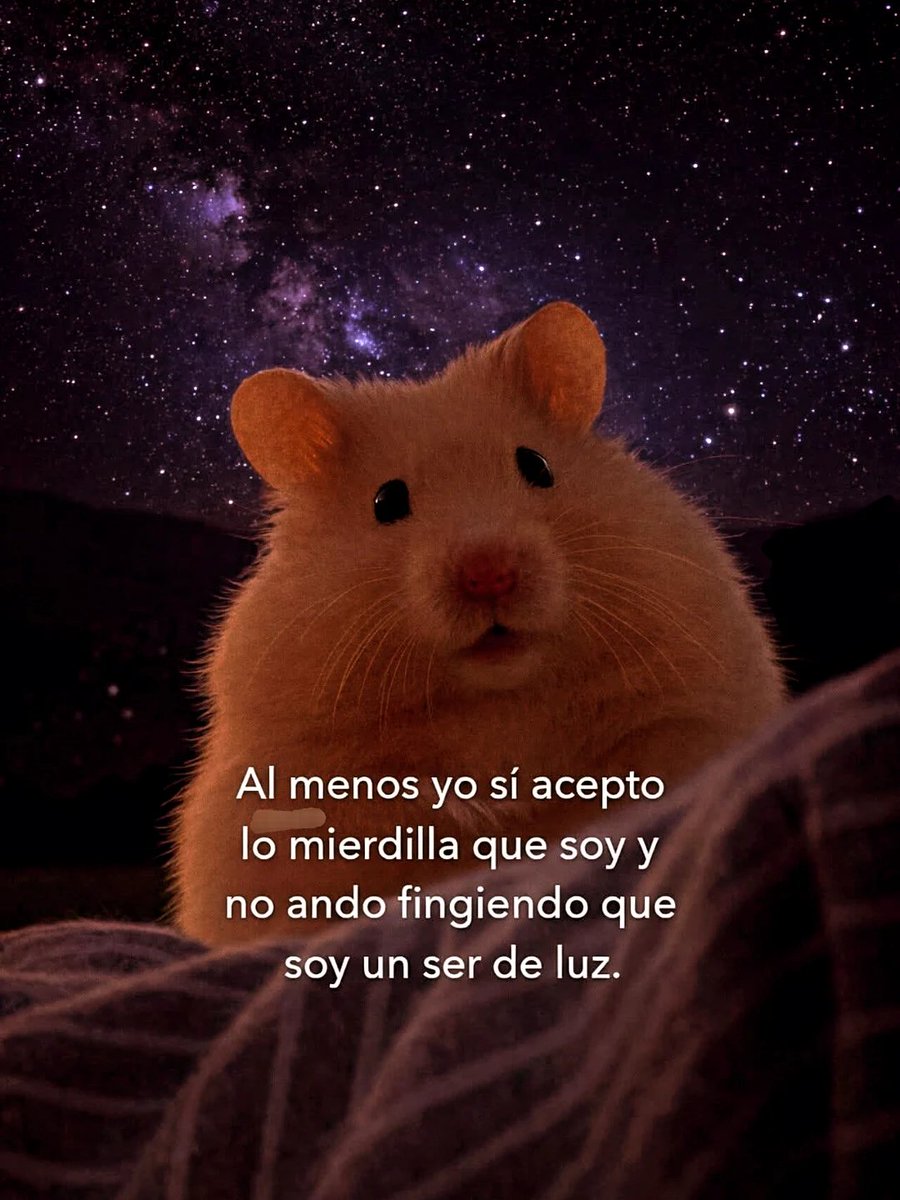 Sarcasmos (@somossarcasmo) on Twitter photo 