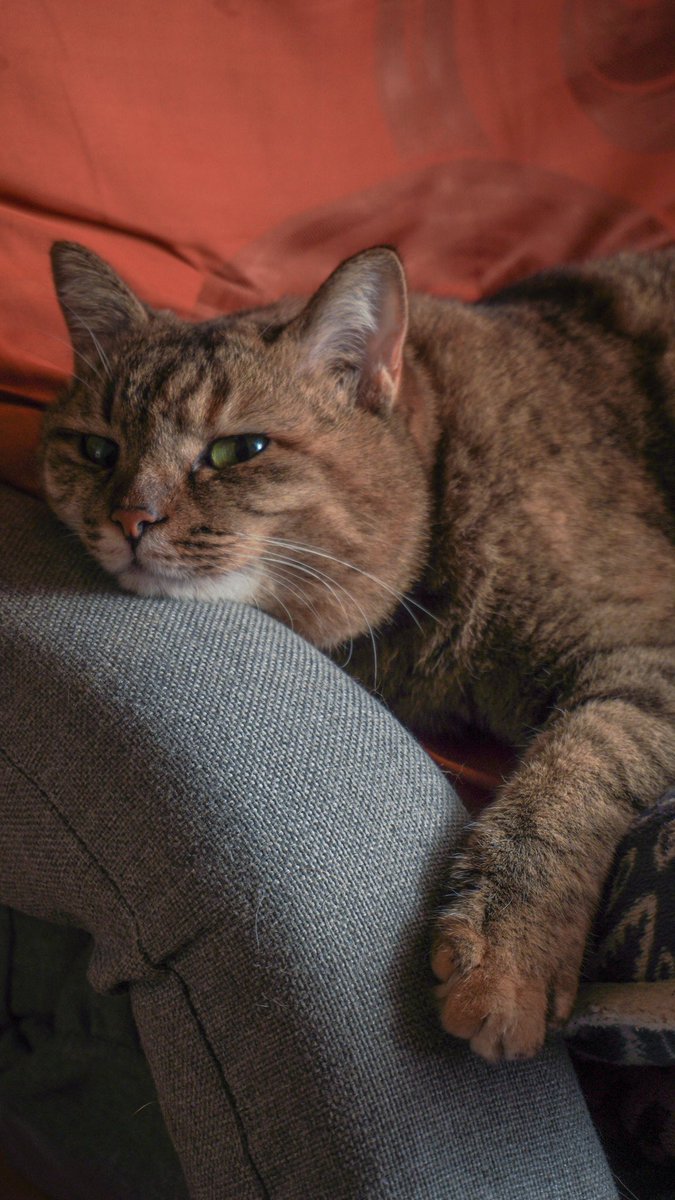 harerukitto's tweet image. #写真好きな人と繋がりたい #ファインダー越しの私の世界 #キリトリセカイ
よろしくお願いします