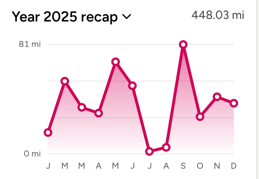 HikingHistorian's tweet photo. Quick round-up of 2025.

448 miles walked over 36 days. Just the six history walks (4 in three days!), but also 7 stages of the @GmRingway; a two day travel writing experiment; and 44 @SlowWaysUK.

Less than last year, that injury in the Summer making all the difference! https://t.co/VQVuAPA90H