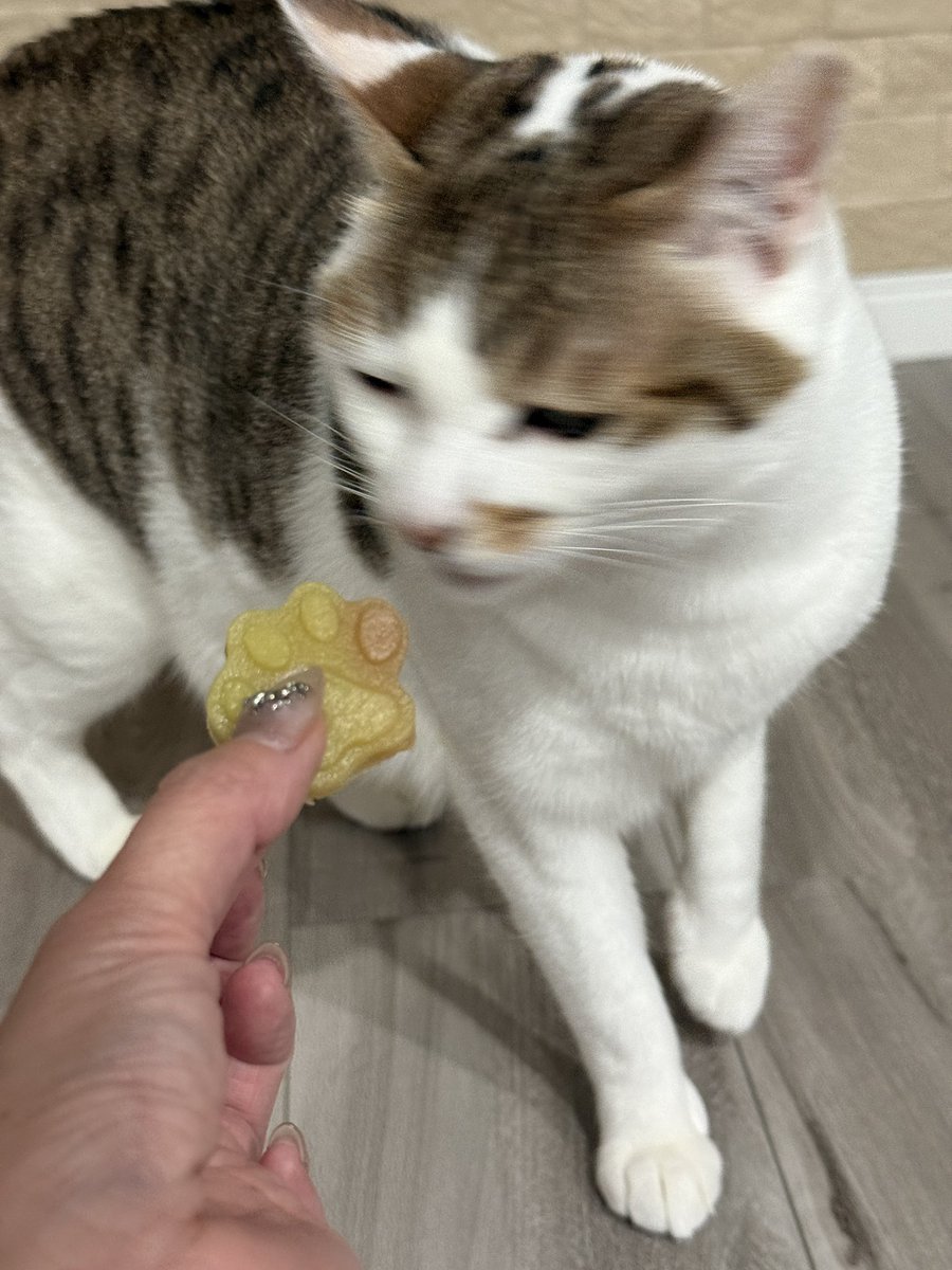 ゆっち.oO☆** (@loverincoy) / Posts / X