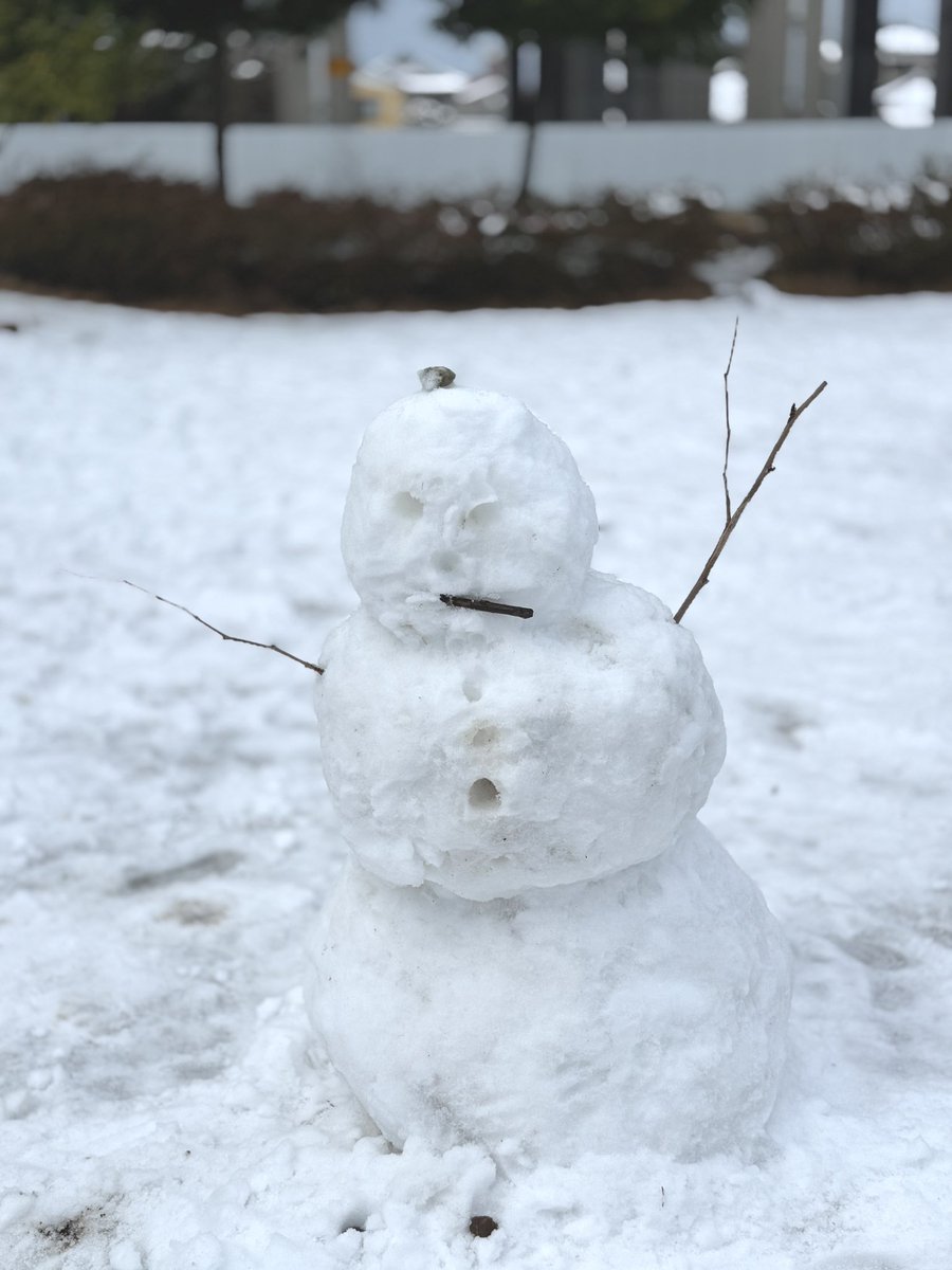 あけましておめでとうございます🐴🎍 今年もよろしくお願いします