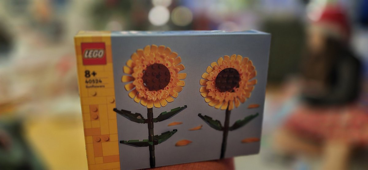 Not sure it it will be happy, but it's here, 2026. I don't believe it will be better year for Ukraine, our family and friends over there. Not as long as #USA is vassal state of ruSSia. 
In any case...may the sunflowers grow  - I Щоб тварина здохла!