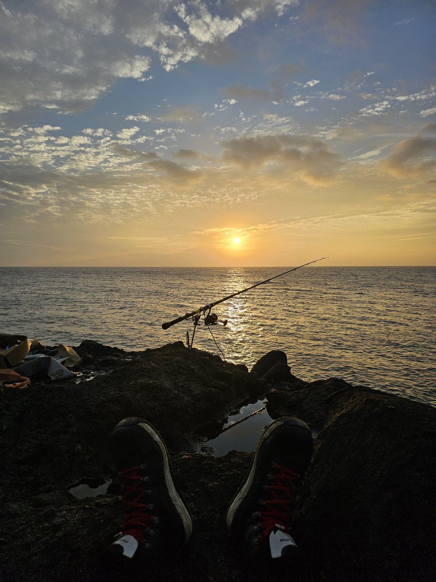 汐太郎@九州磯釣水産 tweet media