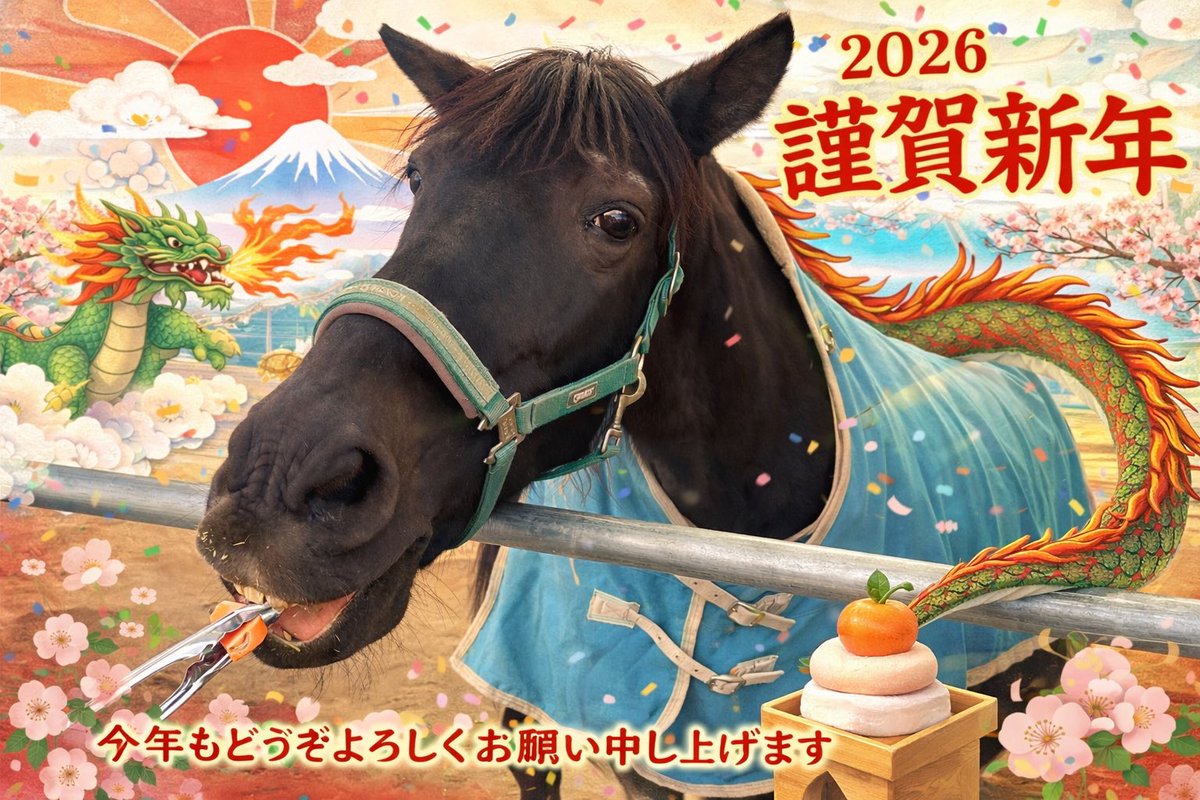 sono05's tweet photo. あけましておめでとうございます🎍
今年は家作りが本格的に始まり、新しい門出の年になります！
ゲームネタも無く低浮上ではありますが、本年もよろしくお願いいたします😊
新年の食べ始めはやっぱり地元の佐野ラーメン🍜😋
1枚目の神社は昨年末の出張の際の物なので地元ではありません😅 https://t.co/ufwY3JK5iZ