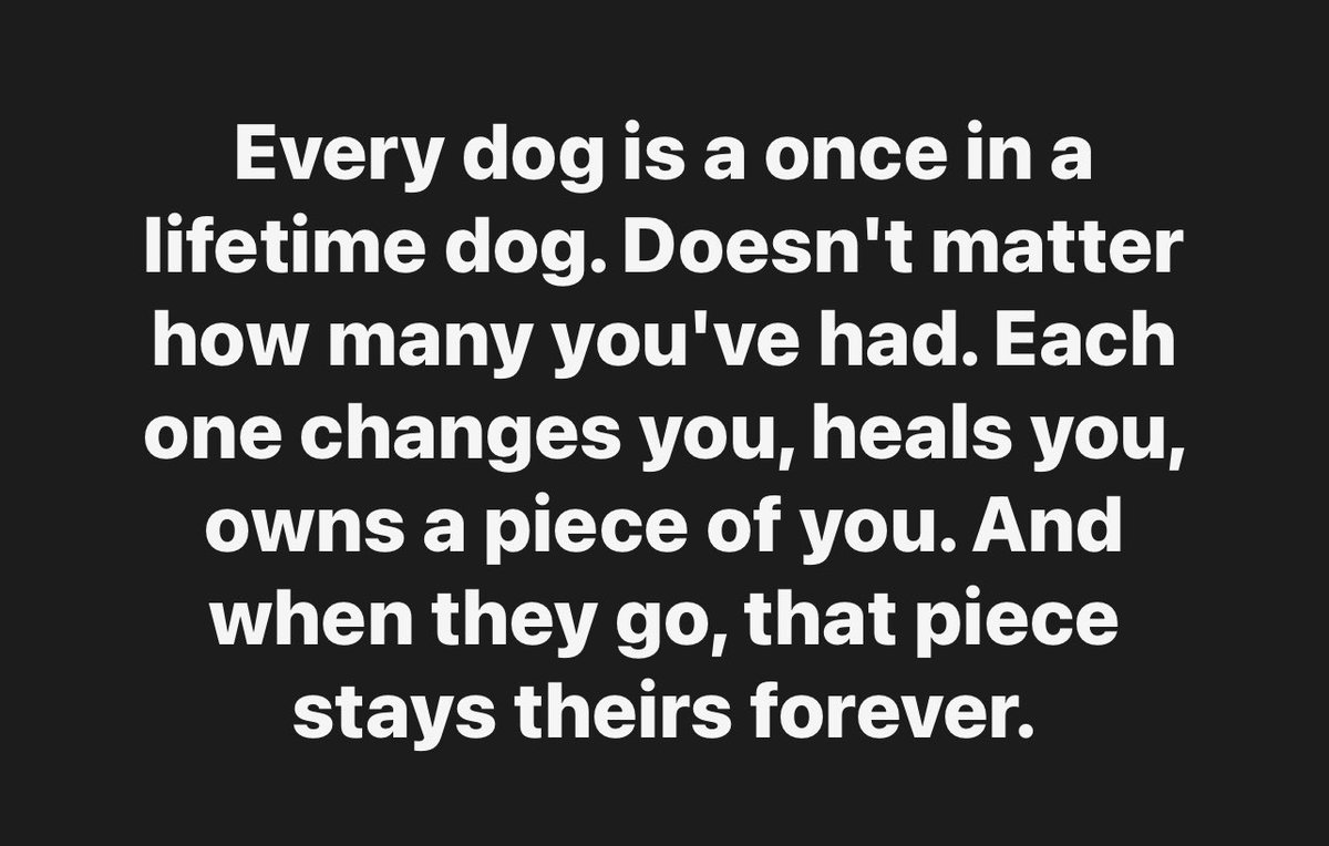 💋 Miss Behave 💋 tweet media