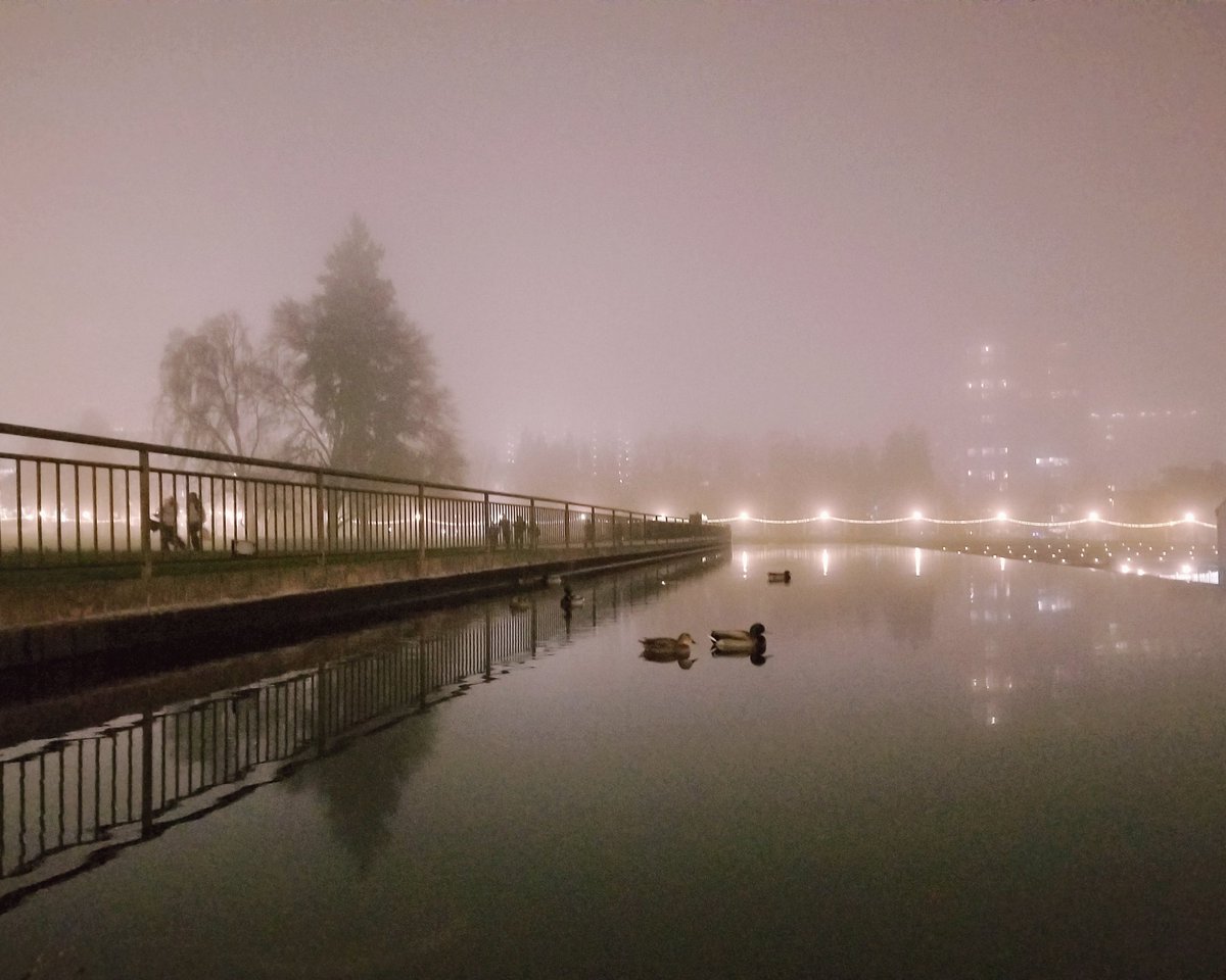 Jodi_Meinjohans's tweet image. Happy New Year! Cold foggy night in the city. 

#BellevueWA 
#2026