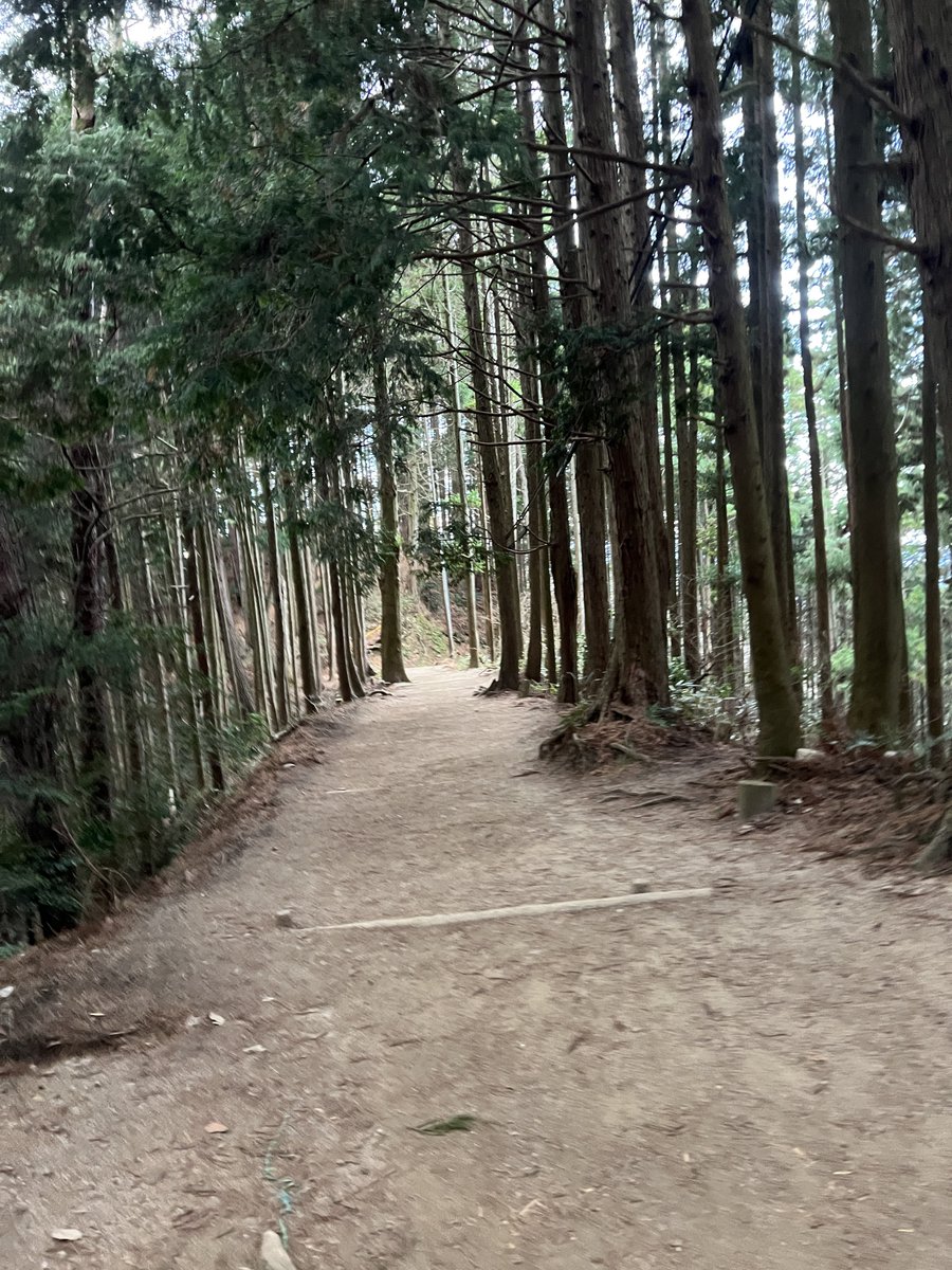 tyarcheage's tweet photo. あけおめ🎍
ことよろ〜

登り初めは金剛山でしたが、初日出は見れませんでした... https://t.co/86Orxbgd9w