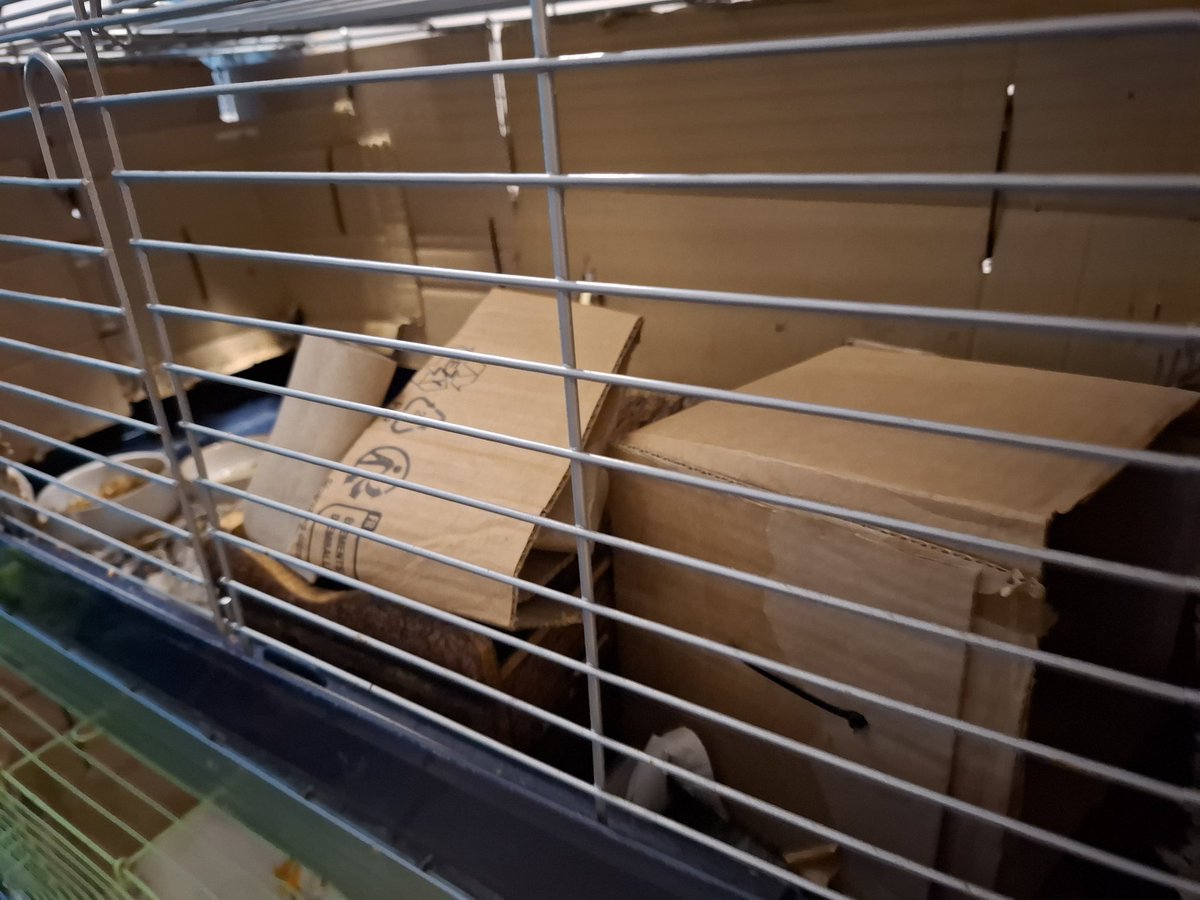 Arch_Bishop tweet media