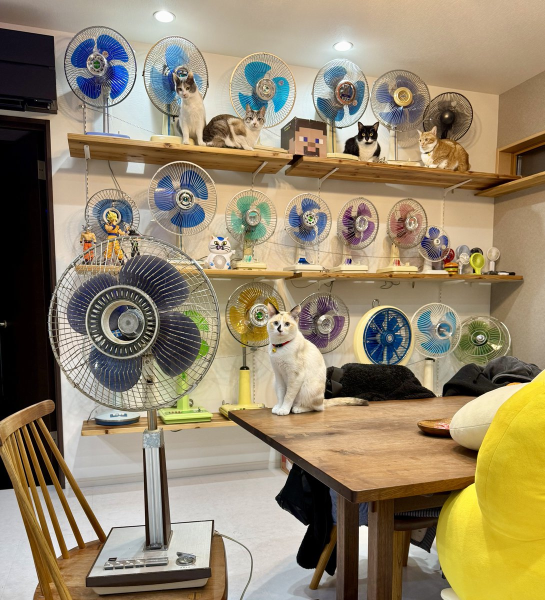 新年早々、フォロワーさんから東芝さんのCRYSTAL ZEPHYR SF-30Gの