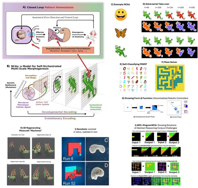 hartl.bene tweet media