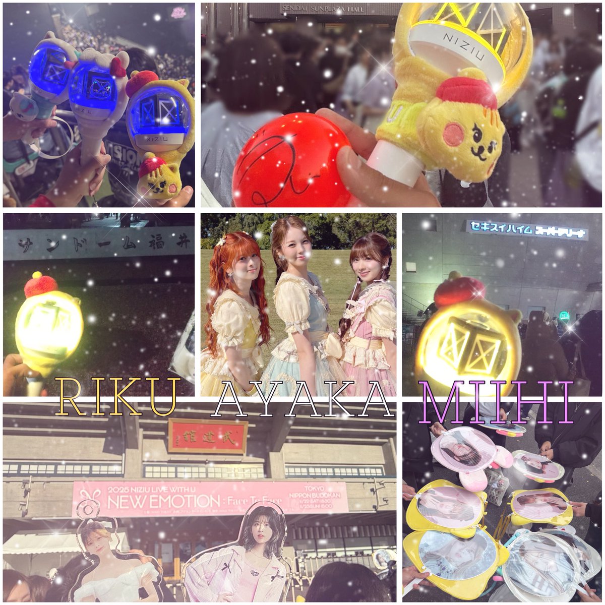 カイ🐿🐣 tweet media