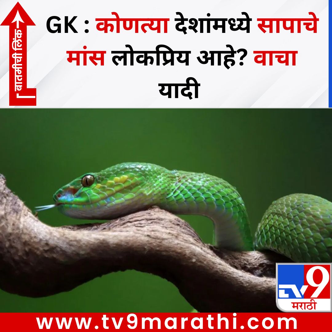TV9Marathi's tweet photo. GK : कोणत्या देशांमध्ये सापाचे मांस लोकप्रिय आहे? वाचा यादी
बातमीची लिंक -
https://t.co/mVvbsNJuD5
#gk #snake #snakemeat https://t.co/ATLq9ilLWU