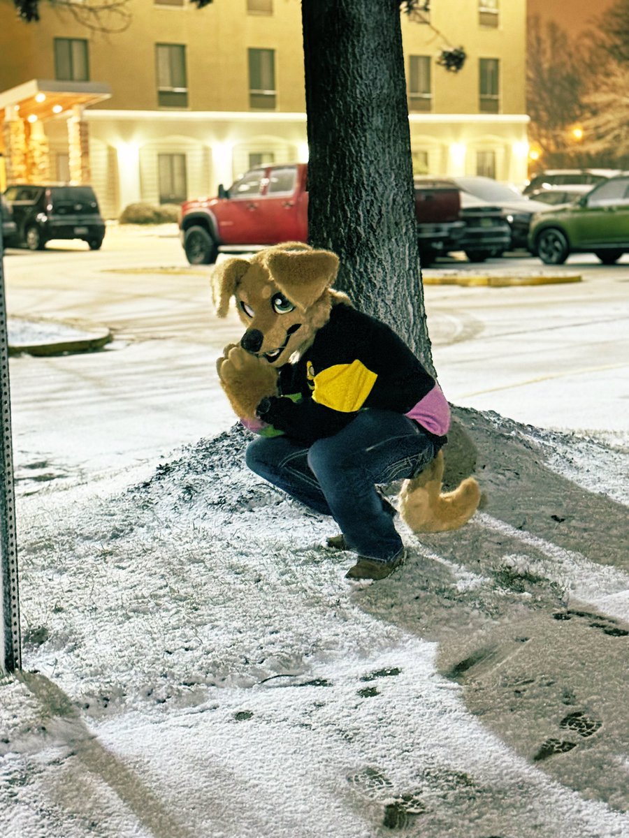 Sample_The_Dog's tweet image. Thank you NYFB 

This was my first con 
14 years ago I joined the fandom, started from the bottom now we here. This has been such an amazing experience. 

Thank you to all the awesome folks I’ve met, and thank you to the amazing con staff for making this a magical experience.…