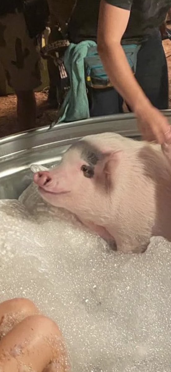 <a href="/uhh_luc/">beef strokinoff</a> Look how cute it is tho