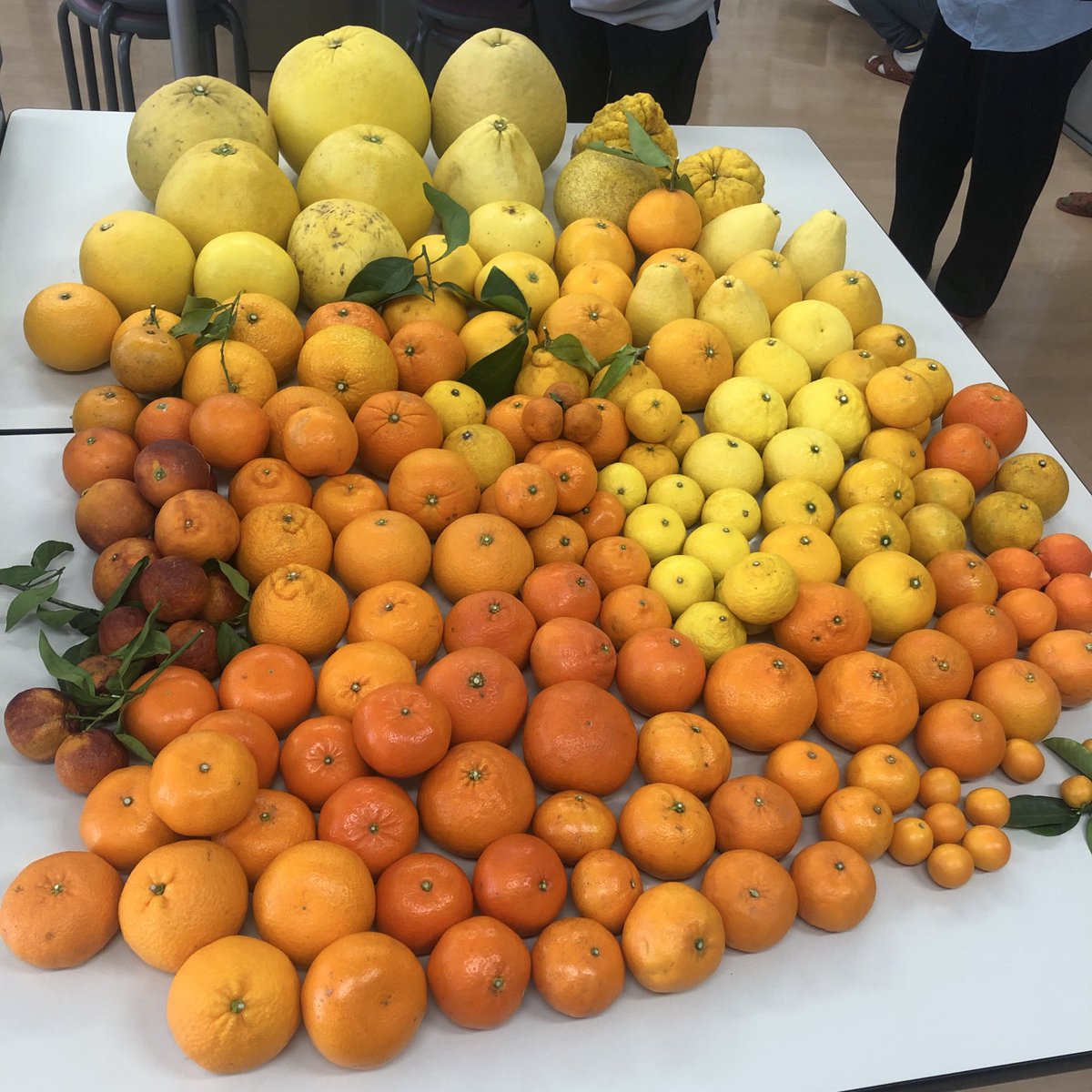 みかんノート (@mikanflavor1) / Posts / X