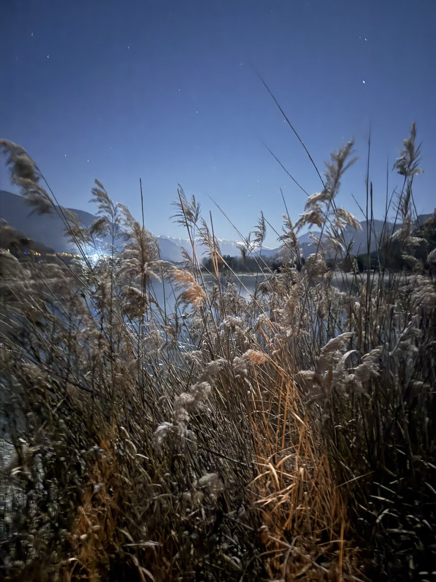 Très belle année à toutes et tous depuis les Hautes-Alpes 🤩✨💫