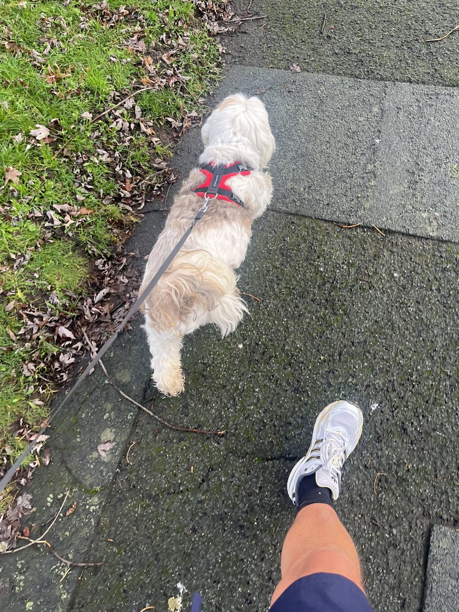 BOOSH_Dawson's tweet image. PART 1
SORTING MY HANGOVER OUT

BOOSH 😎🐶👊🏻
#NewYear2026 #Hangover