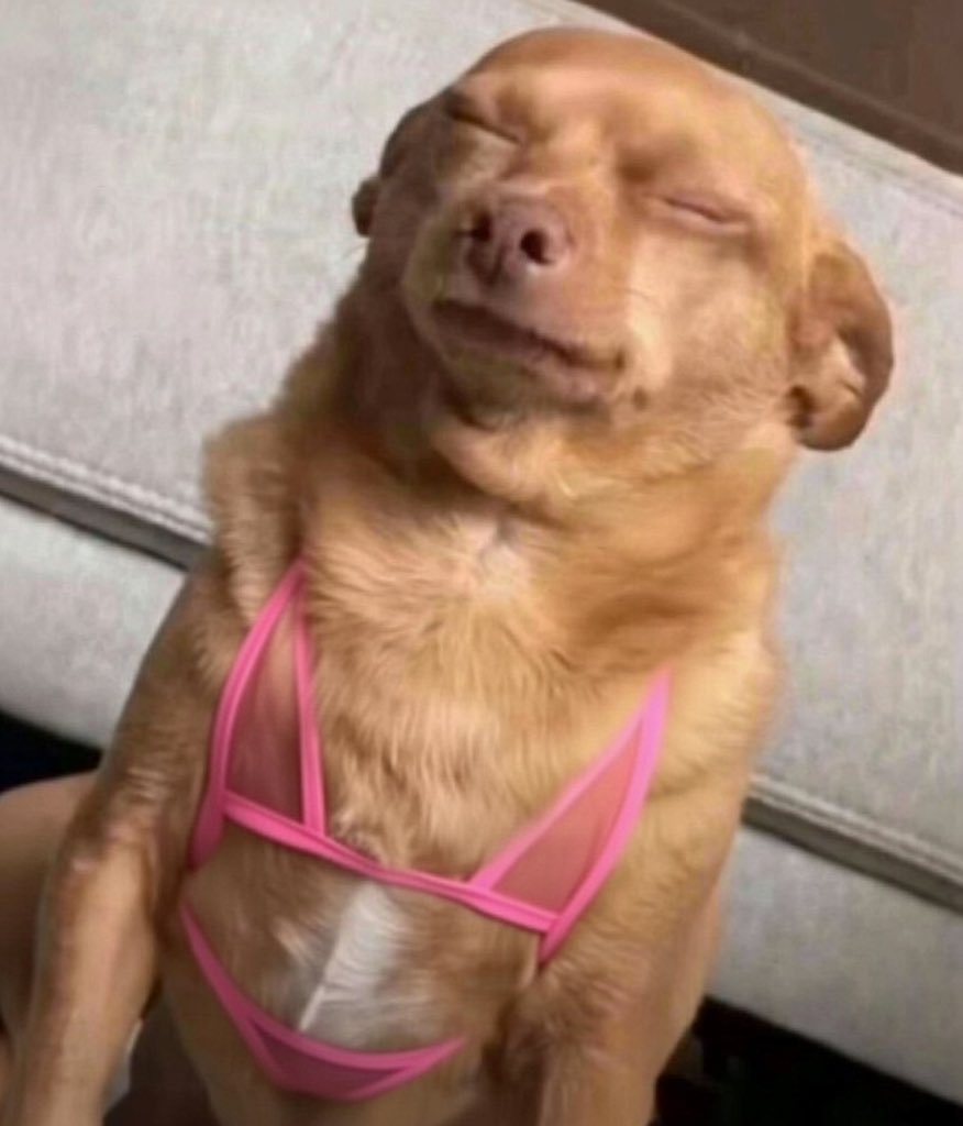 Arkhamsocial's tweet image. 11 months to 2027 how much have you made this year😑😏