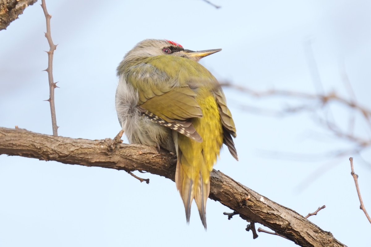 tkst (@d6u3r8ivy7) / Posts / X